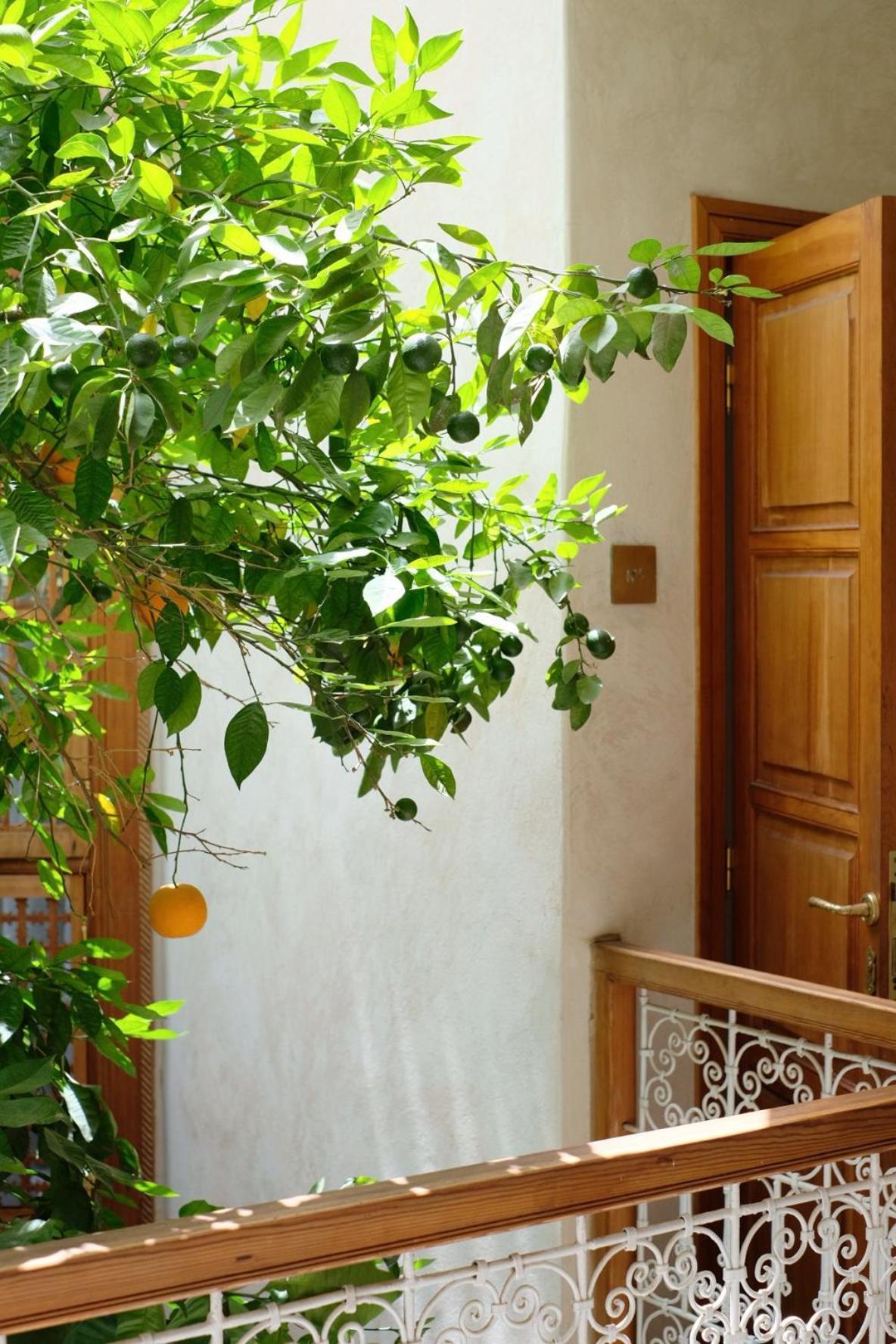 Riad L'Atelier Marrakesh Ngoại thất bức ảnh