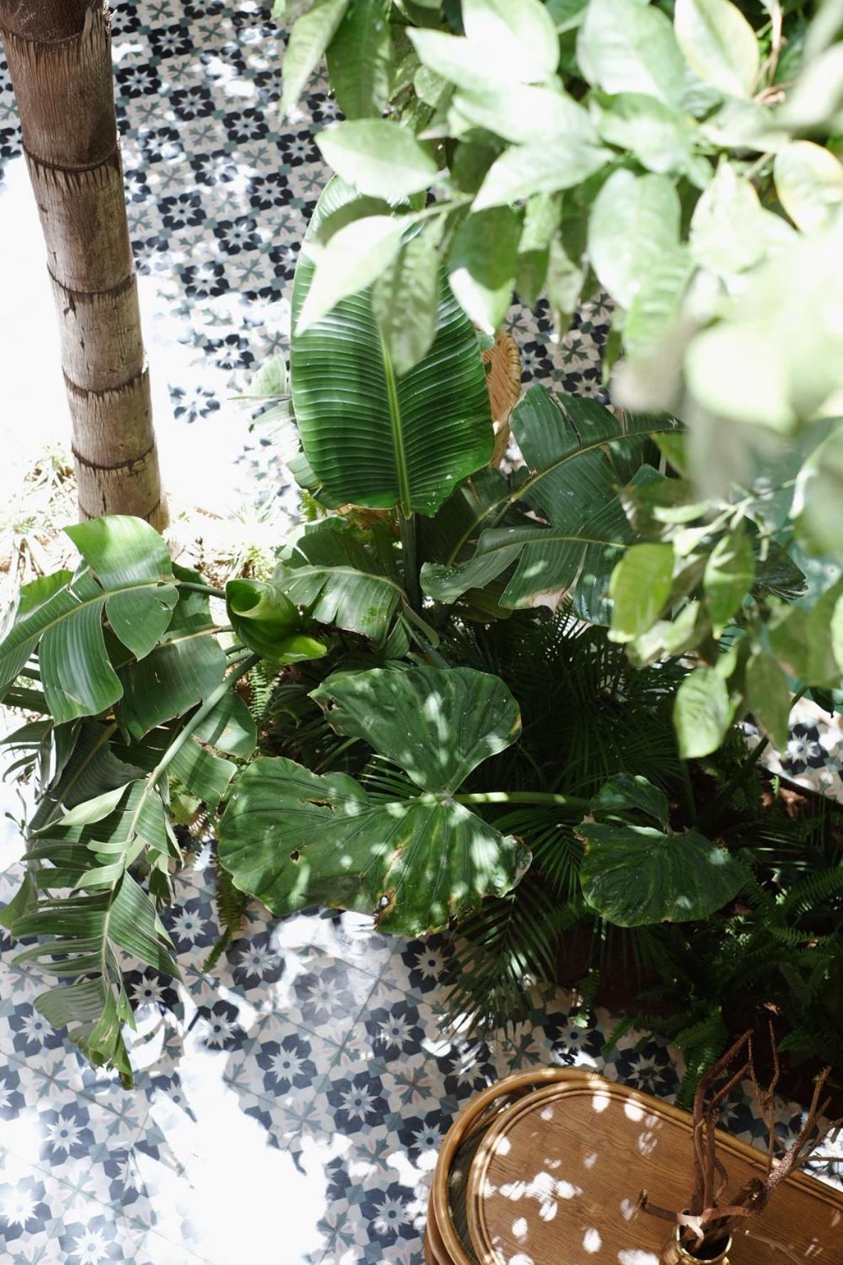 Riad L'Atelier Marrakesh Ngoại thất bức ảnh
